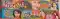 240 Shots Multicolor